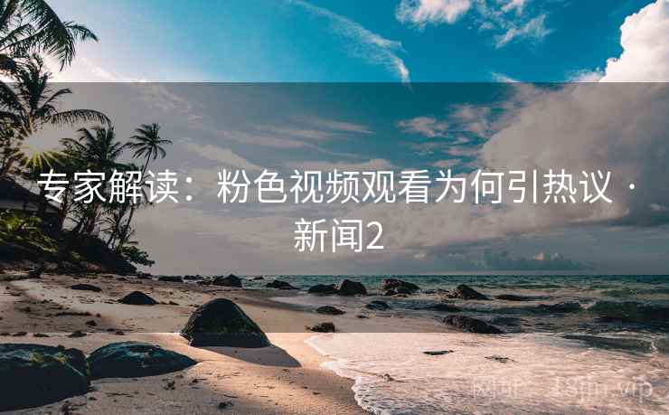 专家解读：粉色视频观看为何引热议 · 新闻2