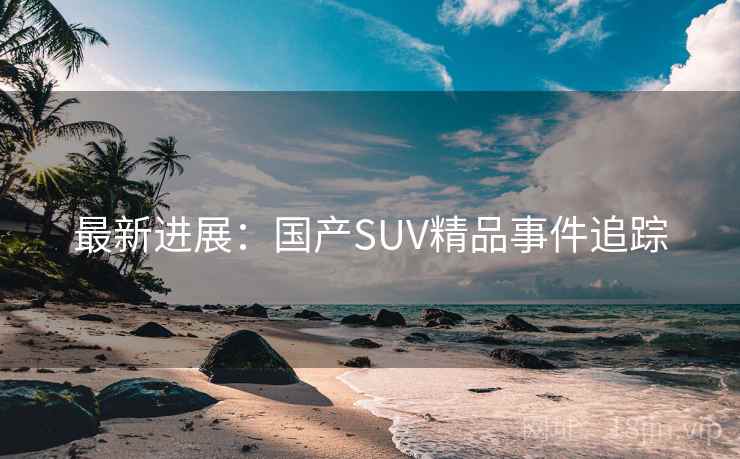 最新进展:国产SUV精品事件追踪