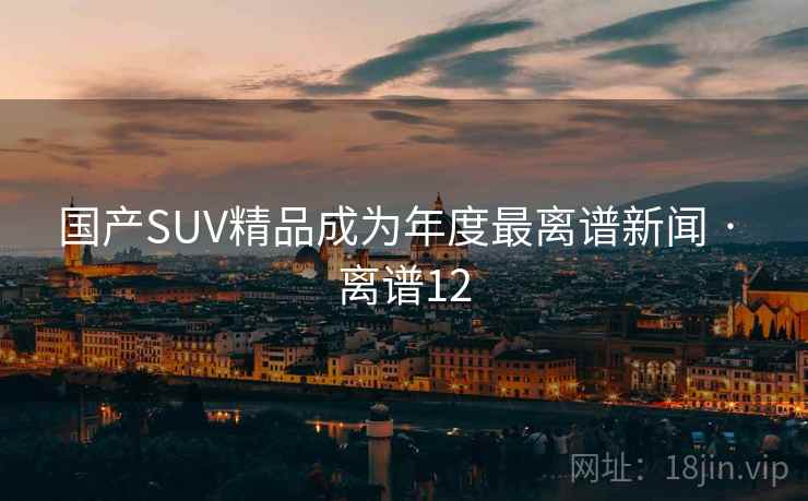 国产SUV精品成为年度最离谱新闻 · 离谱12