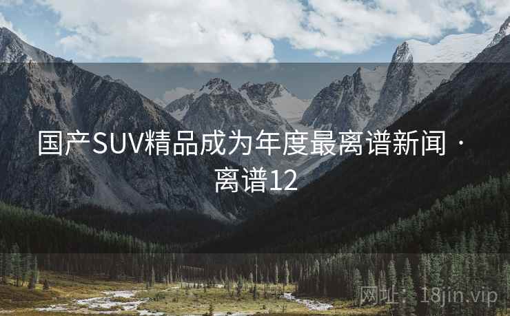 国产SUV精品成为年度最离谱新闻 · 离谱12
